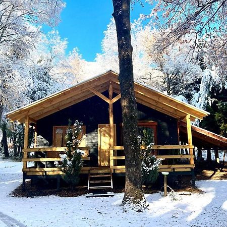 Cabanas Bosque Las Trancas Εξωτερικό φωτογραφία