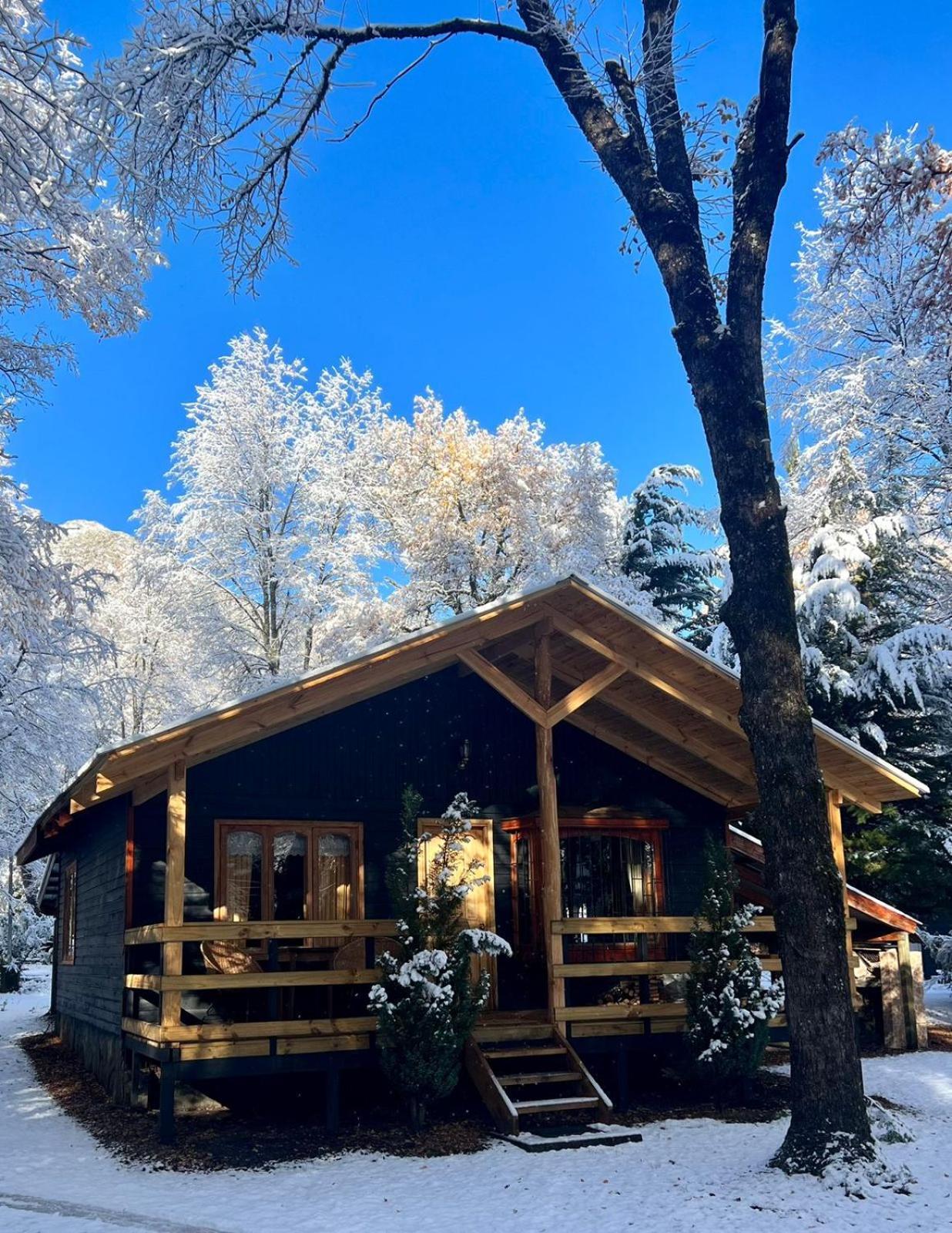 Cabanas Bosque Las Trancas Εξωτερικό φωτογραφία